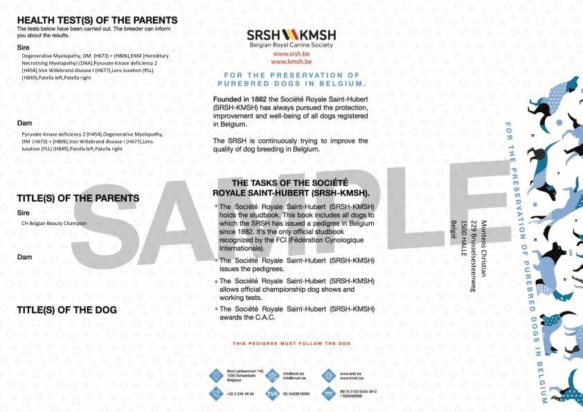 PUPPY'S 20250610
