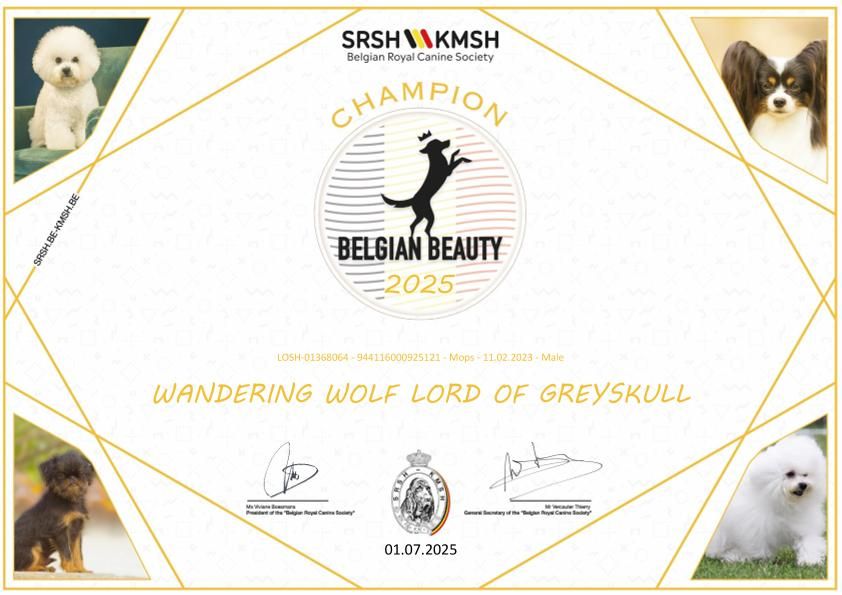 Lord of Greyskull - BELGIAN CHAMPION
