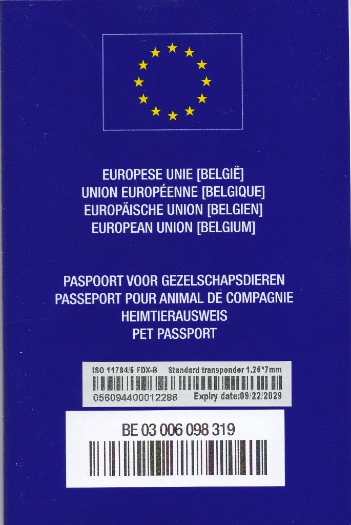 YUMI LORD OF GREYSKULL